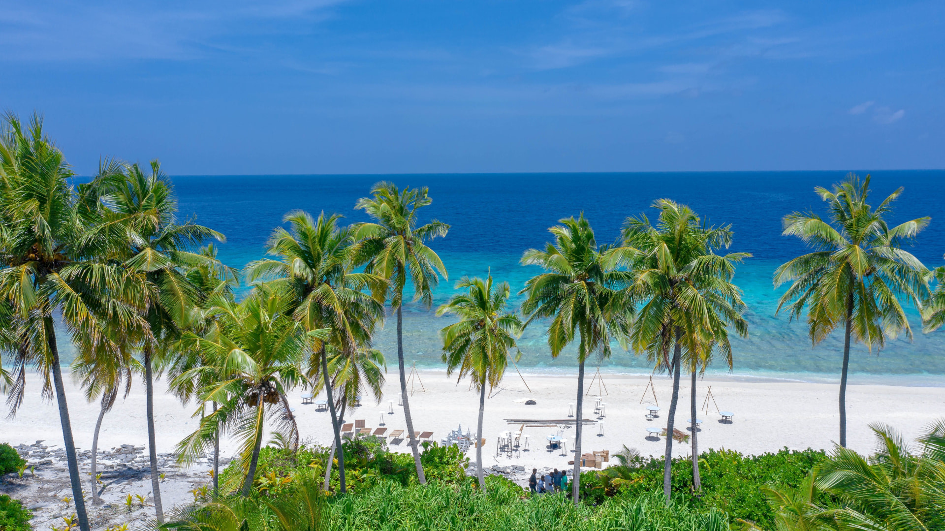 A tropical beach with palm trees and turquoise ocean.