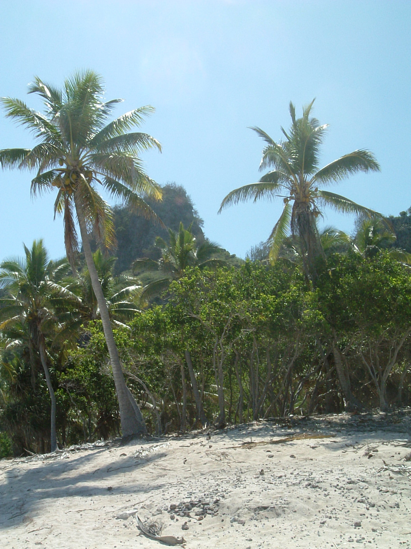 Two coconut palms leaning over the white sand of Monuriki island.