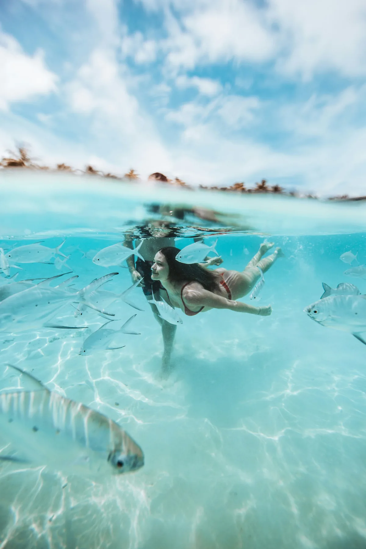 A swimmer gliding through clear turquoise shallows surrounded by a school of fish.
